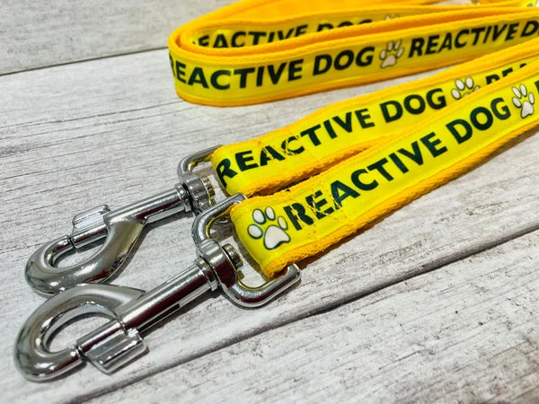 Solid Colour Reactive Alert Dog Lead