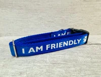 I am Friendly Alert Dog Collar 1
