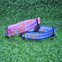 Birthday Cake Candles Puppy/Small Dog Collar 5