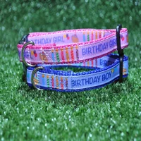 Birthday Cake Candles Puppy/Small Dog Collar 4