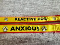 Reactive Dog Alert Short Extension Dog Lead | UK 2