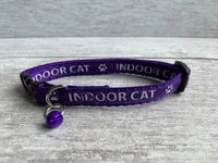 Indoor Cat Collar 5