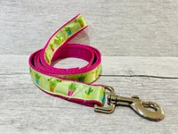 Cactus Ribbon Lead 1