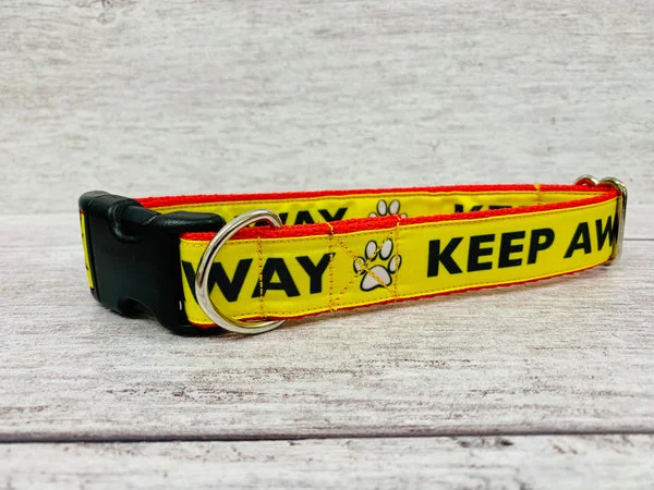 Keep Away Alert Dog Collar 1