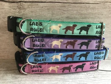Labs Rules Dog Collar Labrador Rules