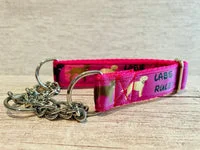 Labs Rules Dog Collar Labrador Rules 8