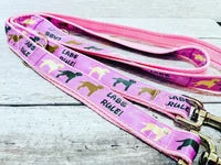 Labs Rules Dog Collar Labrador Rules 10