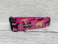 Labs Rules Dog Collar Labrador Rules 4