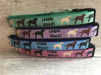 Labs Rules Dog Collar Labrador Rules 2