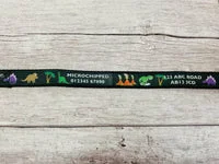 Dinosaur Personalised Dogs Custom Print Dog Collar 2