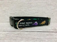 Dinosaur Personalised Dogs Custom Print Dog Collar 1
