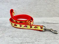 Ladybird Ladybug Ribbon Lead 2