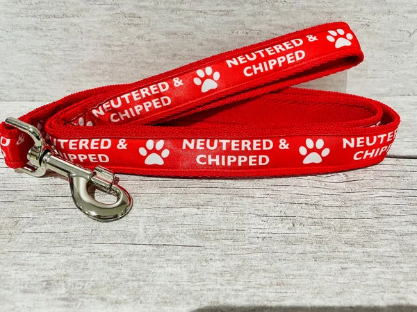 Neutered & Chipped Lead