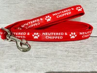 Neutered & Chipped Lead 1
