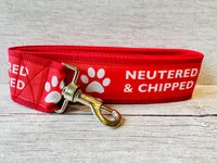 Neutered & Chipped Lead 2
