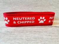 Neutered & Chipped Lead 3