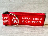 Neutered & Chipped Lead 4