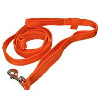 Personalised Parent & Child Dog Walking Lead 3
