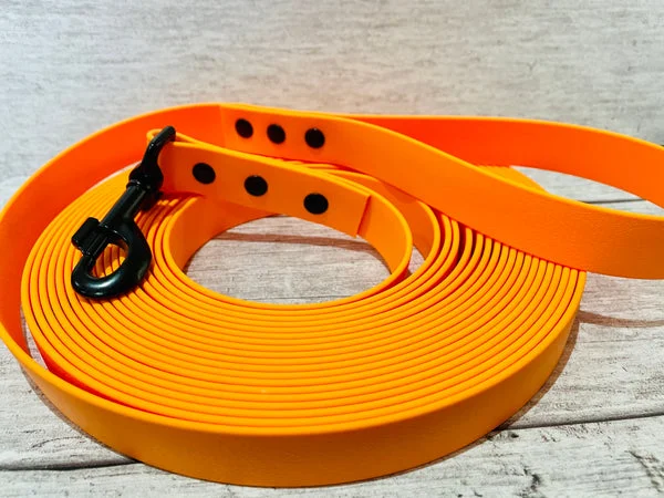 Biothane Training Line Waterproof Alert Dog Lead