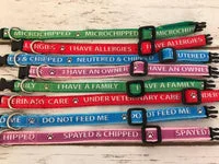 Microchipped - Allergies - Neutered Puppy/Small Dog Collar 1