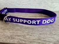 Custom Personalised Print Ribbon for Dog Collars 18