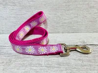 Single Daisy Print Dog Collar 5