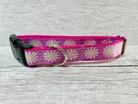 Single Daisy Print Dog Collar 6